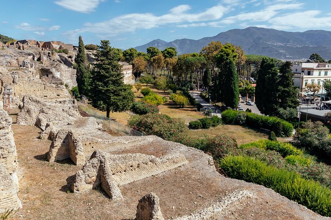Pompeii Inside Out: Private Tour With Locals - Key Points