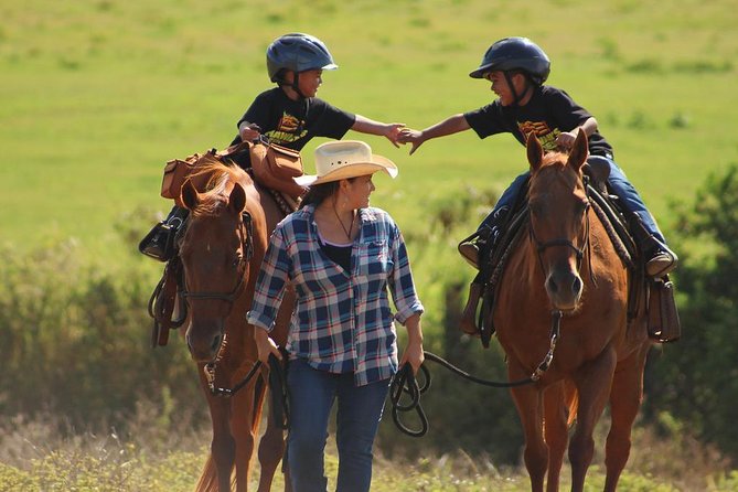 Pony Rides For Kids - Key Points