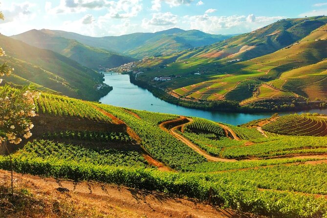 Porto Douro Valley Full-Day Wine Tasting, River Cruise and Lunch - Key Points