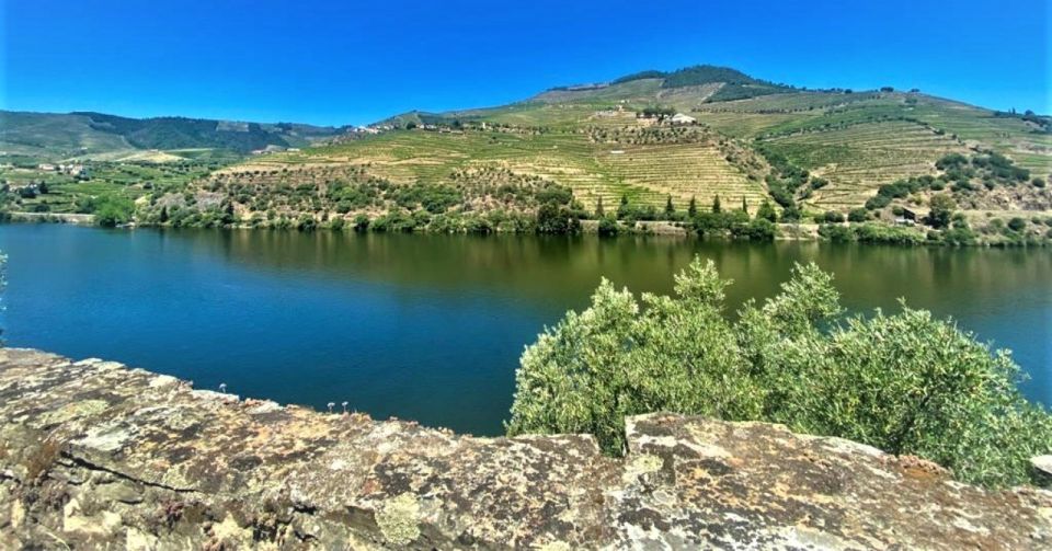 Porto: Douro Valley Tour With 3 Wineries & Lunch - Key Points