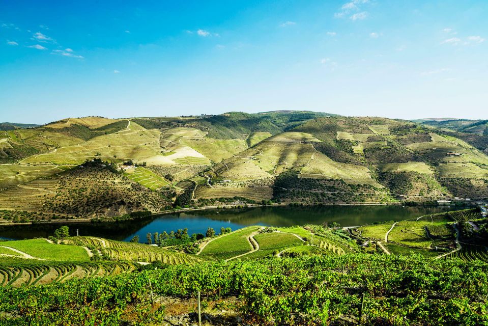 Porto: Douro Valley Wine Tour With Lunch - Key Points