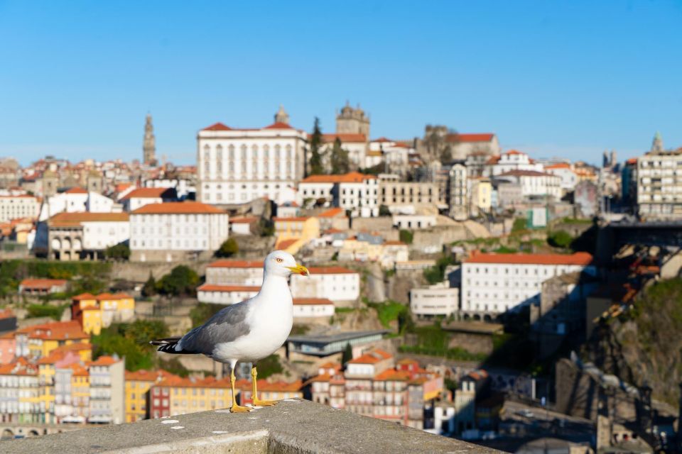 Porto: Express Walk With a Local in 60 Minutes - Key Points