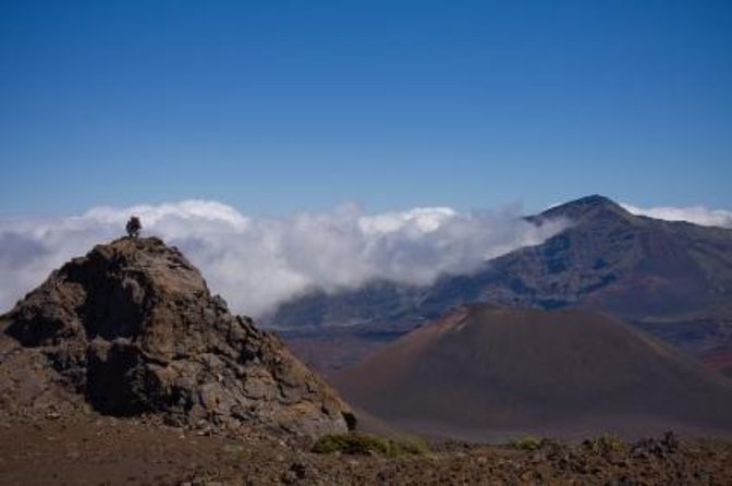 Predawn-Morning Haleakala Bike Tour 6,500 to Sea Level - Key Points