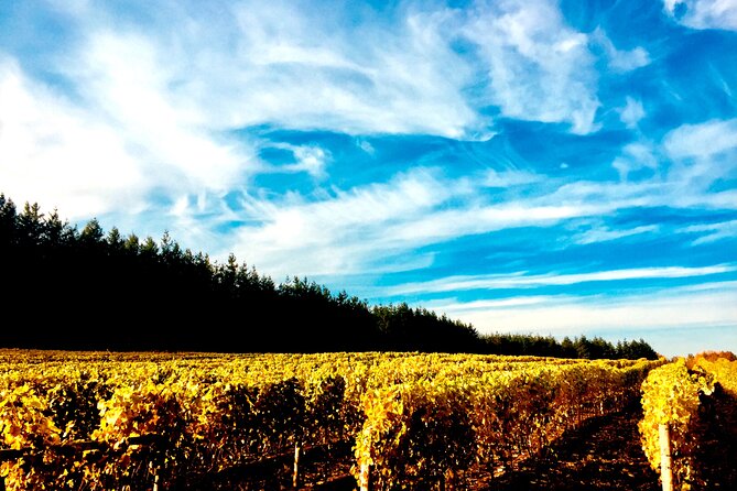 Premium Fraser Valley and White Rock Wine Private Tour - Key Points