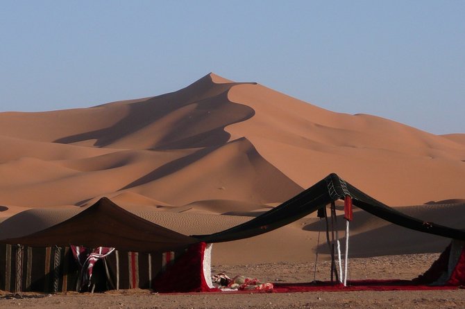 Premium Full-Day Safari, Dune Bash, Camel Ride and BBQ Meal in Desert Camp - Key Points