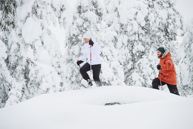 Premium Snowshoeing in Pyhä-Luosto National Park - Key Points