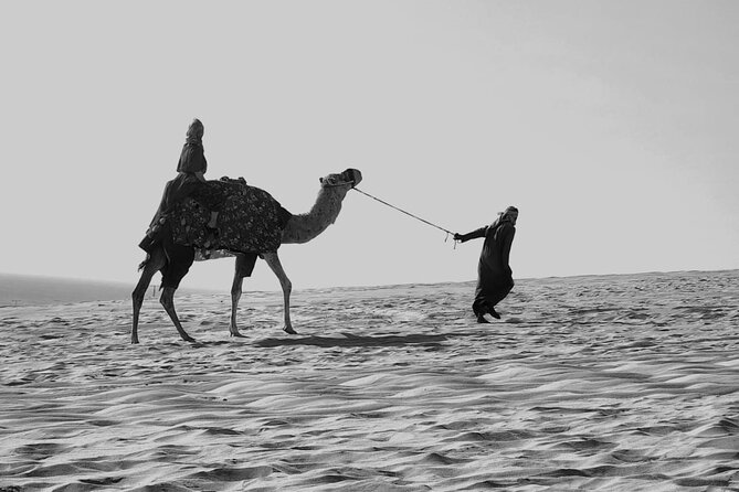 Premium Sunset Safari Tour From Doha: Sealine, Sand Dunes, and Beach - Key Points