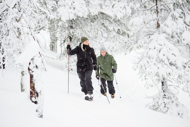 Premium Wilderness Skiing in Pyhä-Luosto National Park - Experience the Ultimate Ski Adventure