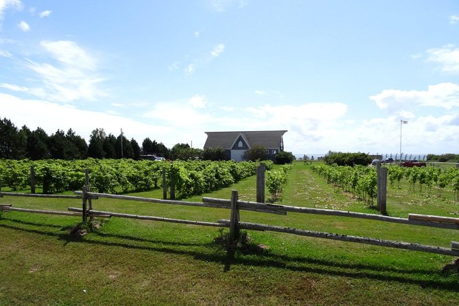 Prince Edward Island Mead, Cider, and Wine Private Tour  - Charlottetown - Key Points