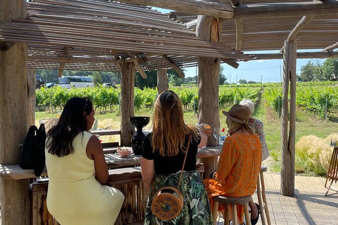 Private 1/2 Day Wine Tour St-Tropez - Key Points