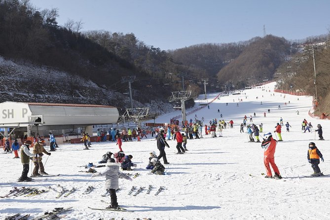 Private 1:1 Ski Lesson Near Seoul, South Korea