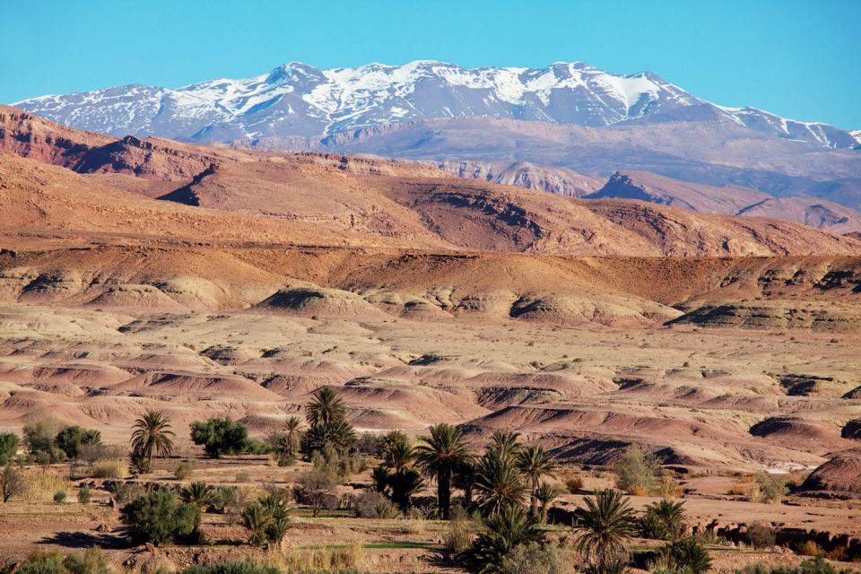 Private 14 Day Tour of Morocco From Marrakech - Key Points