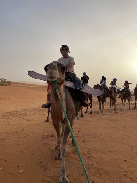 Private 2-Day Camel Trekking With All Inclusive Luxury Camp - Key Points