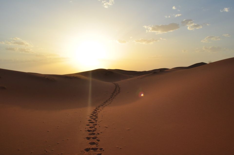 Private 2-Day Desert Trip With Camping & Camel Trekking - Key Points