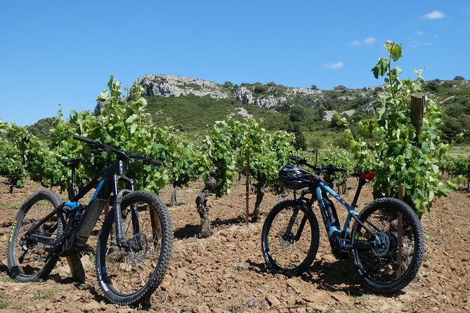 Private 2-Day Visit to Discover the Minervois Vineyards - Key Points