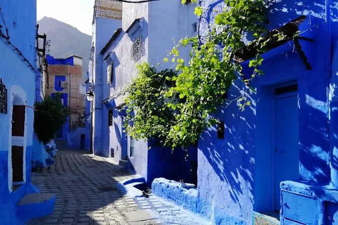 Private 2 Days Trip to Chefchaouen the Blue City From Casablanca - Key Points