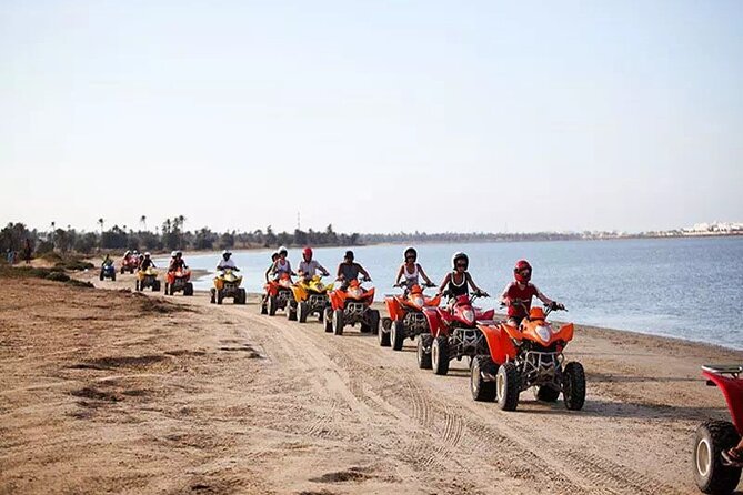 Private 3h00 Quad Ride on the Island of Djerba - Key Points