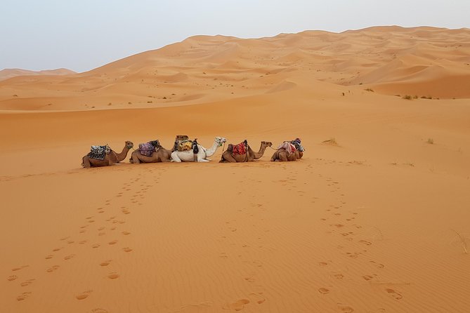 Private 4 Days Desert Tours From Marrakech - Key Points