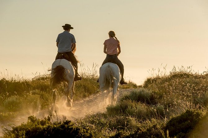 Private 75-Minute Horseback Riding Tour on the Beach  - Setubal District - Key Points