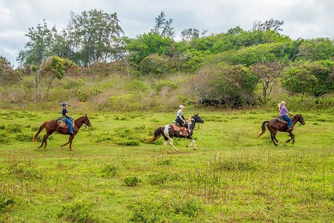 Private Advanced Trail Ride - Key Points