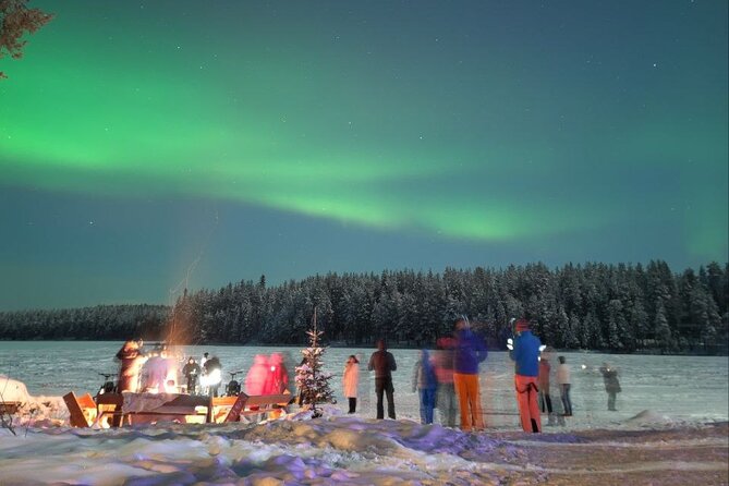 PRIVATE Aurora Tour in Rovaniemi by Car and Snow Scooters - Key Points