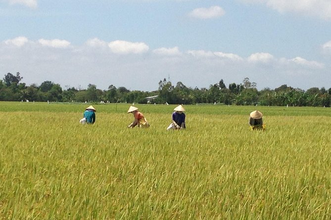 Private Authentic Mekong River Full Day Trip - Non Touristic Mekong Delta - Highlights of the Mekong River Trip