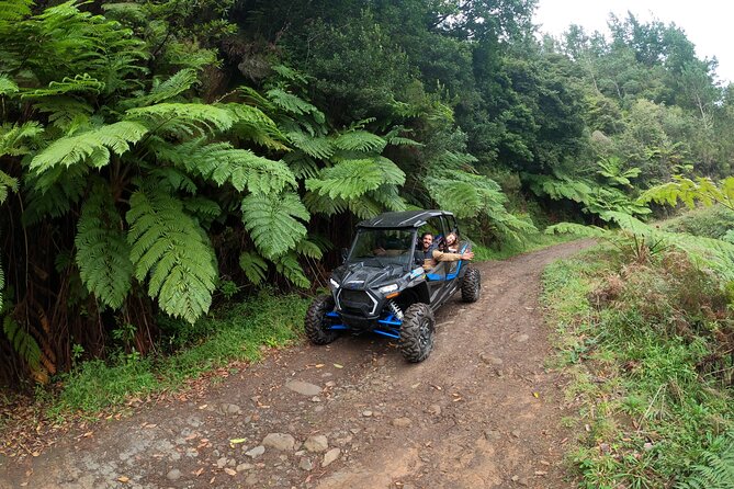 Private Buggy Off-Road Tour - Booking Information