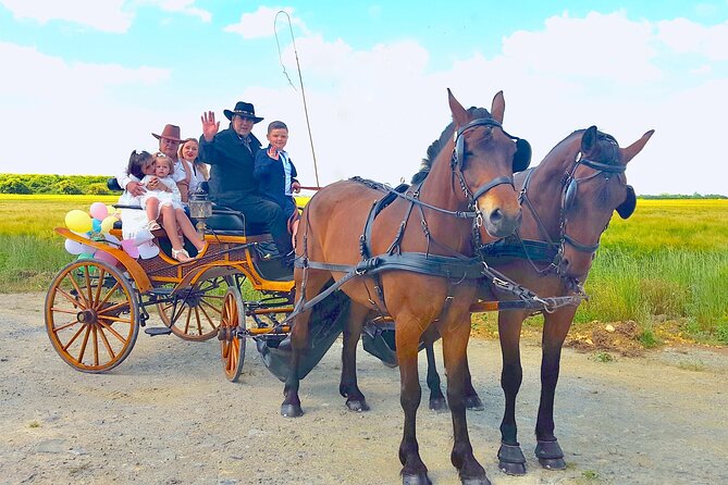 Private Carriage Ride in Saint-Pierre-Azif - Key Points