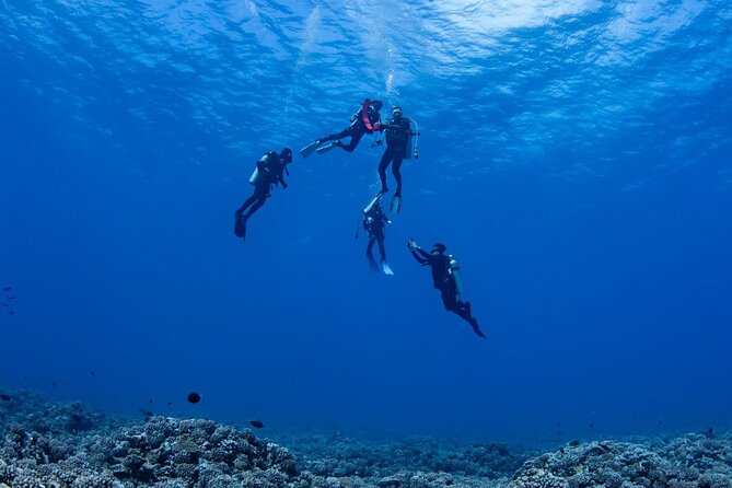 Private Combo Scuba Diving and Snorkeling With Motu Lunch
