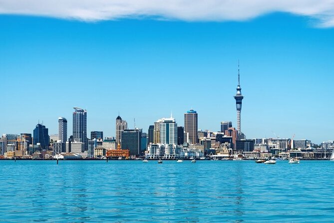 Private Custom Tour With a Local Guide Auckland - Key Points