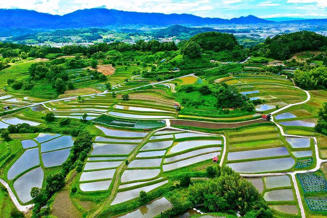 Private Cycling Tour in the First Capital of Japan