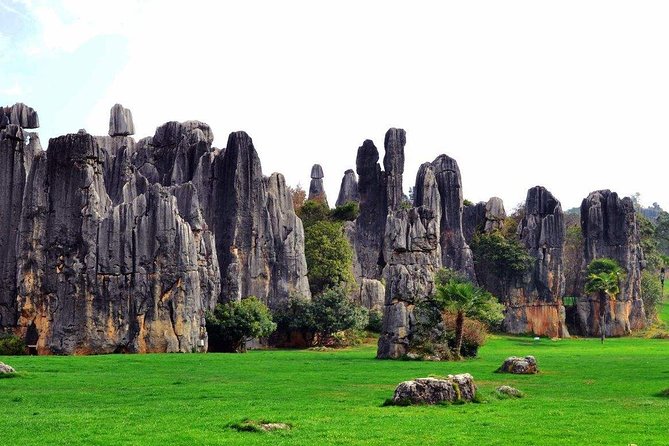 Private Day Tour in Kunming to Stone Forest and Cuihu Lake With Lunch
