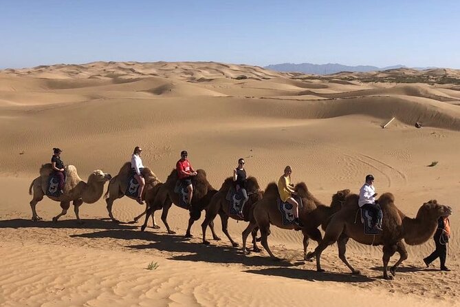 Private Day Tour to Kubuqi Desert From Hohhot With Pick up - Key Points