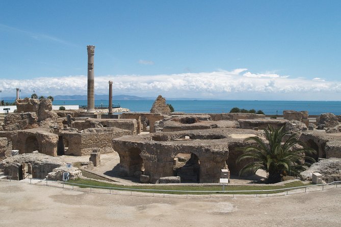 Private Day Tour Tunis Medina Carthage Sidi Bou Said Bardo Museum - Key Points