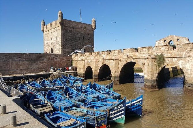 Private Day Trip From Marrakech to Essaouira - Key Points