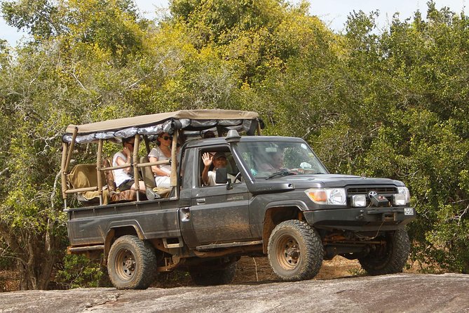 Private Day-Trip to Yala National Park Including BBQ Dinner on the Beach - Key Points