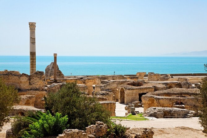 Private Day Trip Tunis Carthage Sidi Bou Said - Key Points