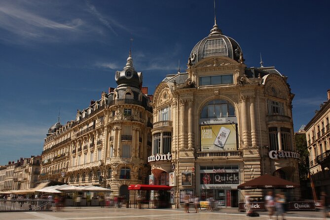 Private Direct Transfer From Lyon to Montpellier - Key Points