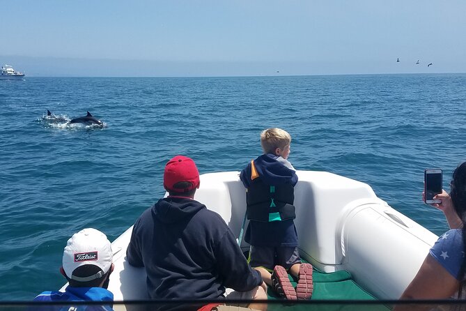 Private Dolphin and Whale Watching Tour in Newport Beach - Key Points