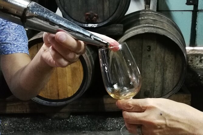 Private Douro Valley Wine Tour - Key Points