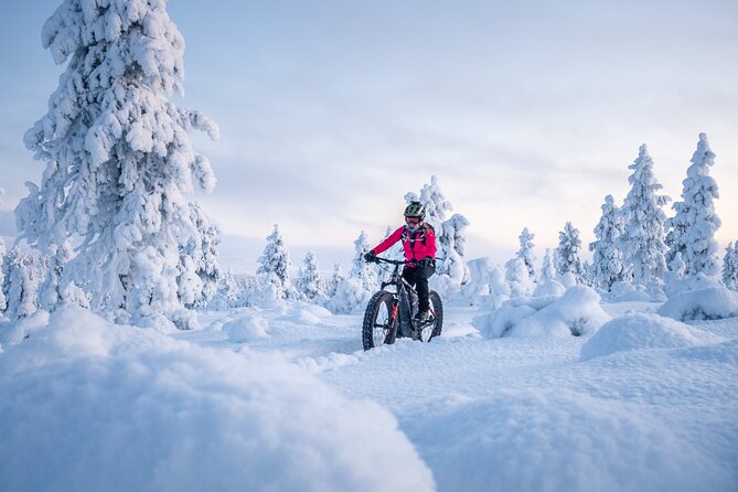 Private Electric Fat Bike Tour in Saariselkä - Tour Highlights