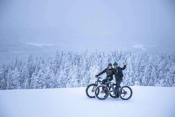 Private Electric Fat Bike Winter Tour in Rovaniemi - Tour Overview