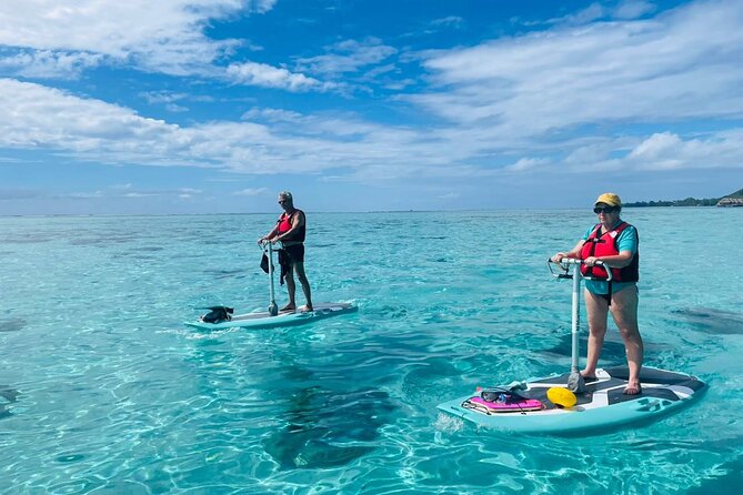 Private Excursion With E-Board in Moorea and Snorkeling - Key Points