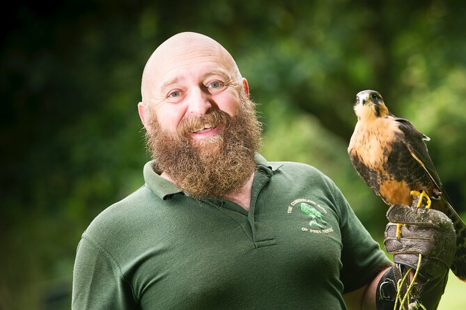 Private Family Bird of Prey Experience in Carlisle - Key Points