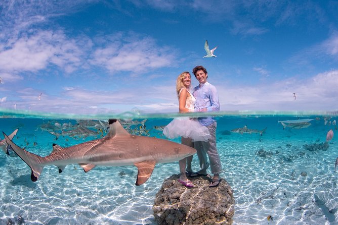 Private Full Day Aquatic Photo Tour Resort Photo-Shoot (All Inclusive) - Key Points