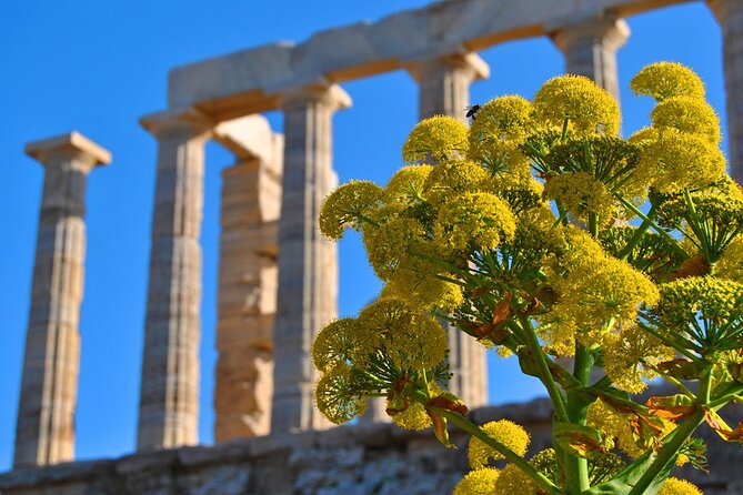 Private Full-day Athens and Temple of Poseidon Tour - Key Points
