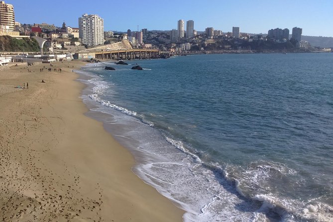Private Full-Day Guided Valparaiso and Vina Del Mar Tour From Santiago - Tour Highlights