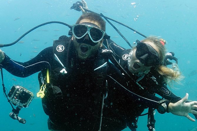 Private Full-Day Scuba Diving in Phuket - Key Points