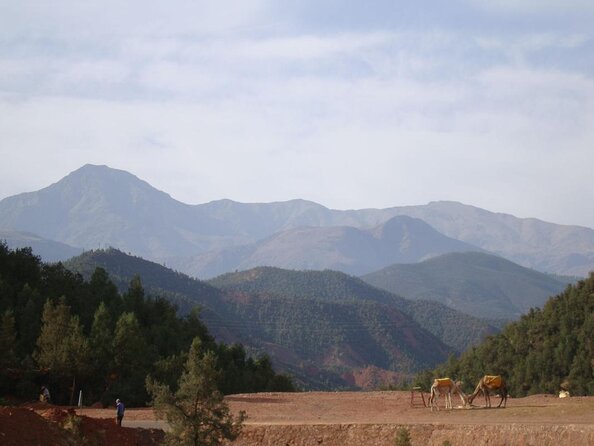 Private Full Day Tour in Agafay Desert and Atlas Mountains - Key Points