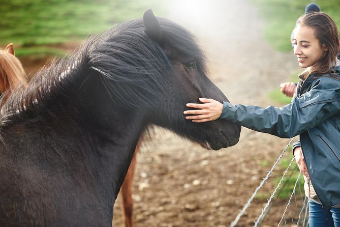 Private Golden Circle and Horse Riding Tour From Reykjavik - Key Points